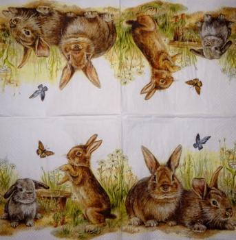 227 Rabbits:  natürlich - 3 ply - Ihr